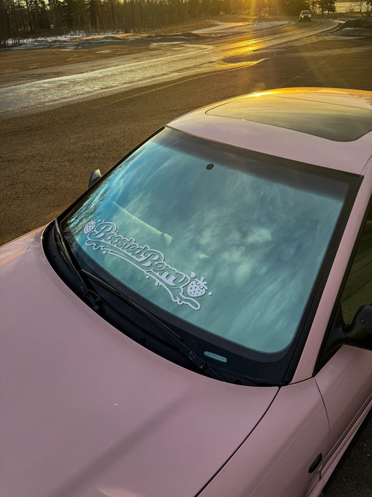 Boosted Member Banner 30"